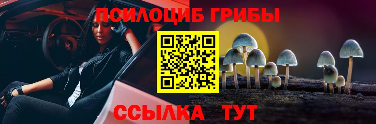 Галлюциногенные грибы ЛСД  Вход с VPN  Черногорск 